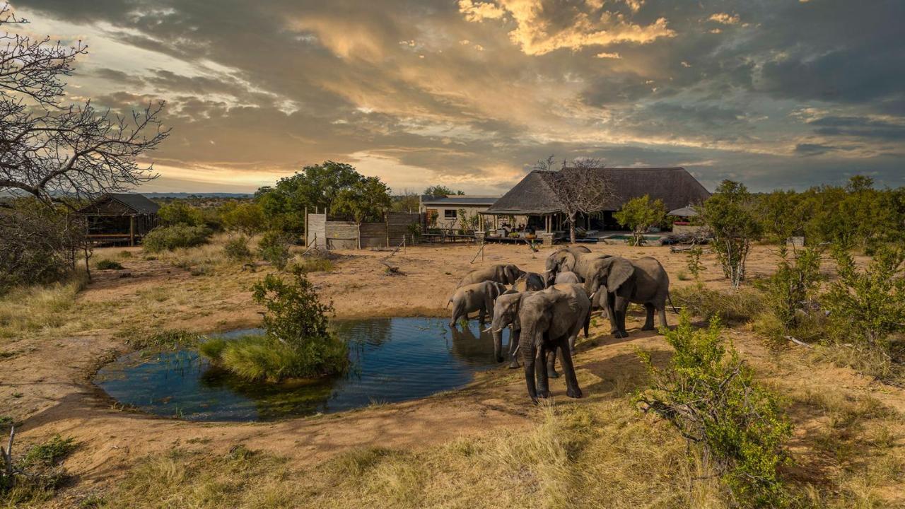 Imagine Africa Luxury Tented Camp Balule Game Reserve Exterior foto