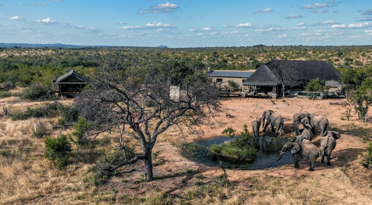Imagine Africa Luxury Tented Camp Balule Game Reserve Exterior foto
